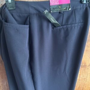 NWT size 14 blue curvy style paints